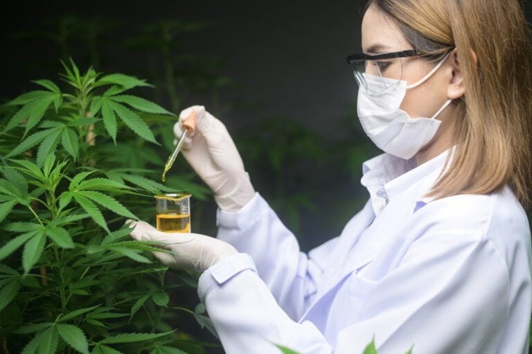 Läkare med CBD-olja och cannabislöv
