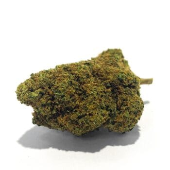 Gorilla Mandarin